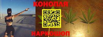 дмт Дубна