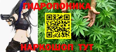 дмт Дубна