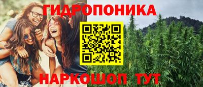 дмт Дубна