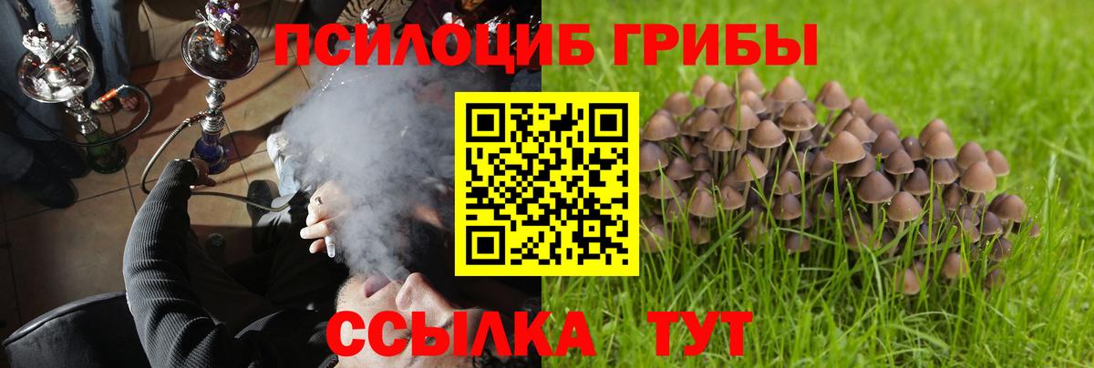 продажа наркотиков  Псилоцибиновые грибы Cubensis  Псилоцибиновые грибы Psilocybe  Вход с VPN  Лыткарино 